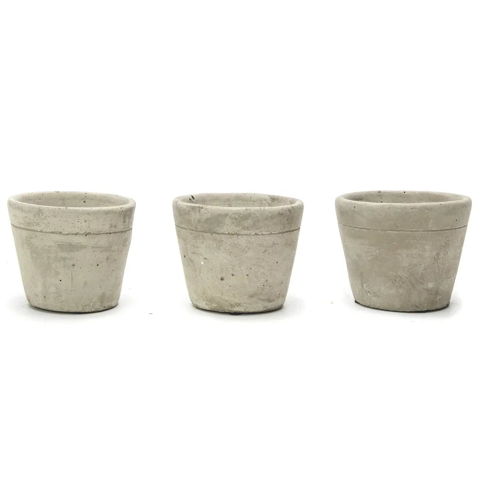Concrete Succulent Planters With Wood Stand Set Of 3