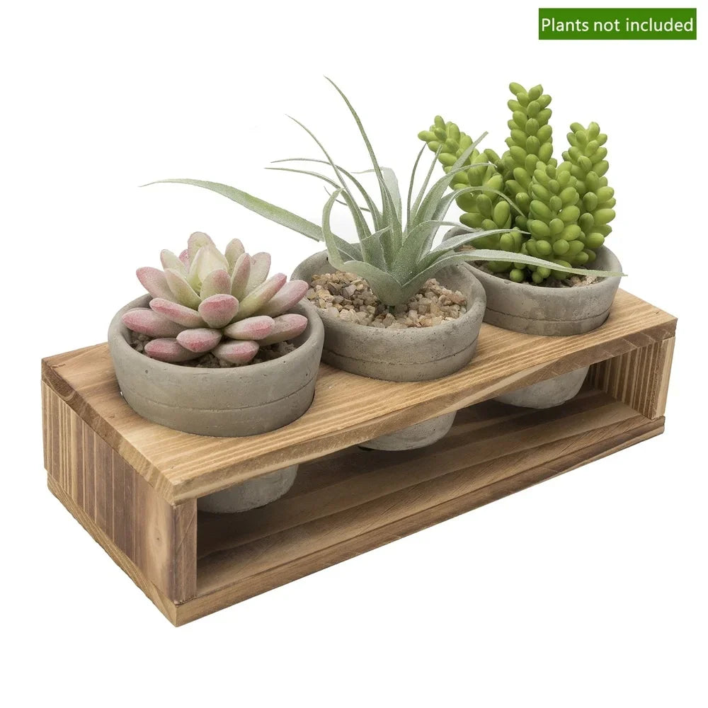 Concrete Succulent Planters With Wood Stand Set Of 3