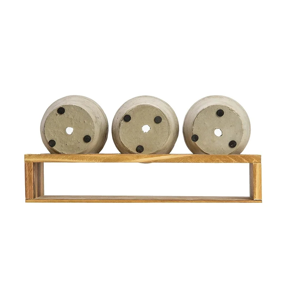 Concrete Succulent Planters With Wood Stand Set Of 3