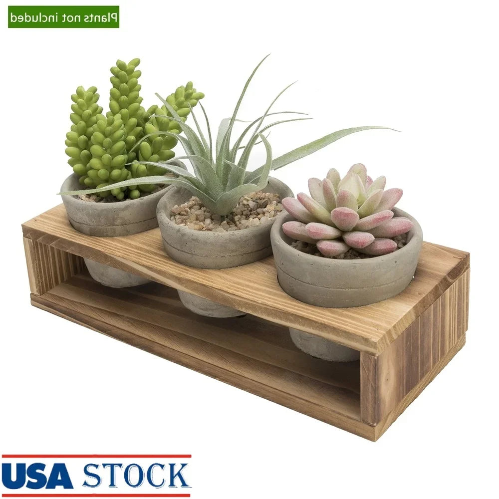 Concrete Succulent Planters With Wood Stand Set Of 3