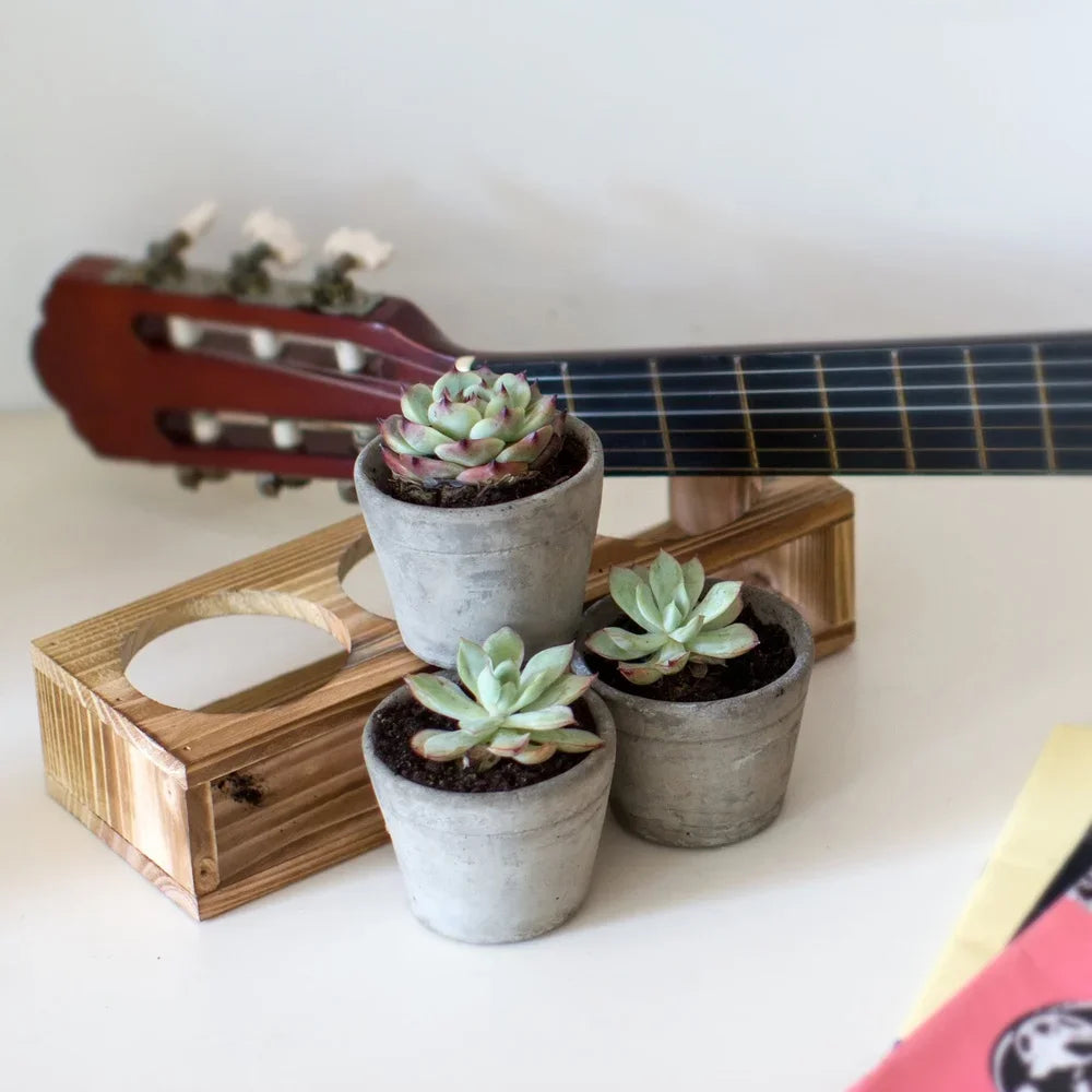 Concrete Succulent Planters With Wood Stand Set Of 3